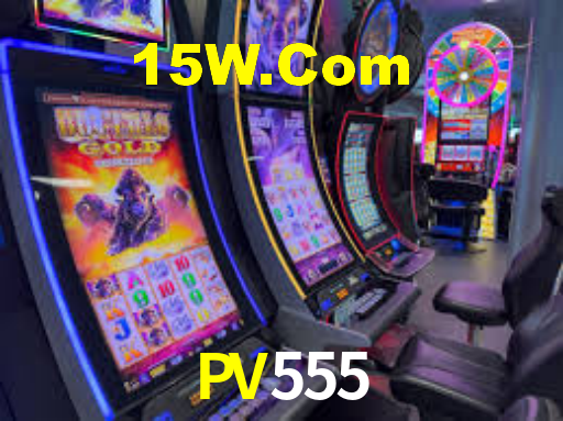 pv555.com