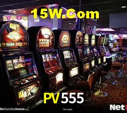 Sistemas de Segurança PV555