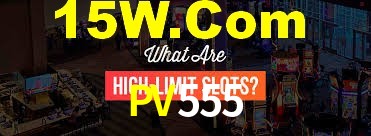 Programa VIP PV555